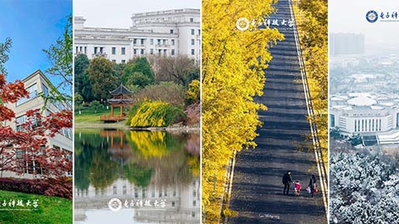 上海电子配件事务流程管理：揭秘高效供应链的秘密**