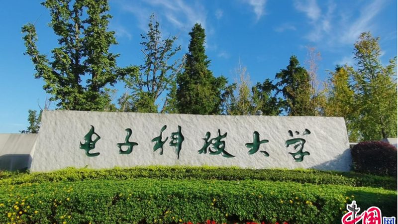 防水连接器端子：揭秘其背后的技术奥秘**